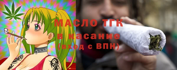шишки Каменка