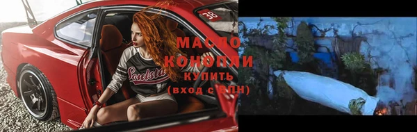 шишки Каменка