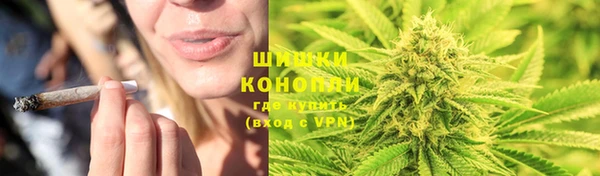 шишки Каменка