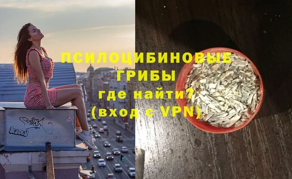 винт Каменногорск