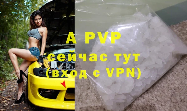 шишки Каменка