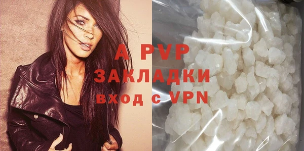 шишки Каменка