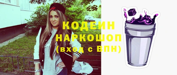 шишки Каменка