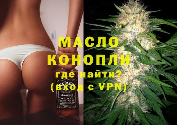шишки Каменка