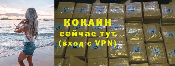 сатива Каменск-Шахтинский