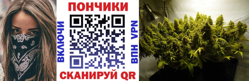 Купить  Верхний Уфалей  Бошки Шишки VHQ 